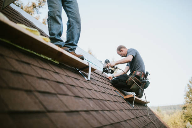 Best Residential Roofing Contractor  in West Blocton, AL